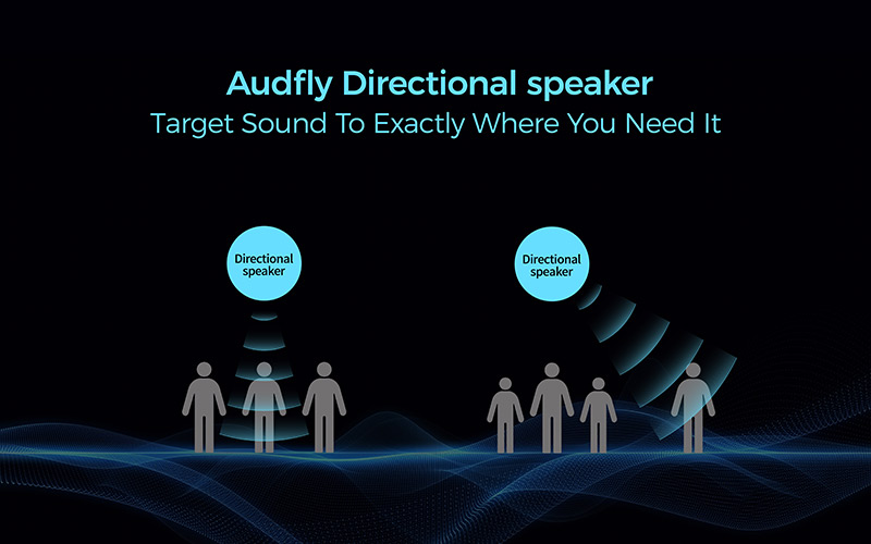 定向發聲示意圖
